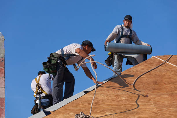 Best Roof Gutter Cleaning  in San Benito, TX